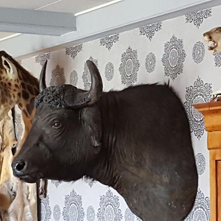 ホテルChalet Sur Lesse メサン エクステリア 写真