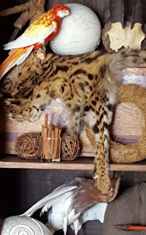 ホテルChalet Sur Lesse メサン エクステリア 写真
