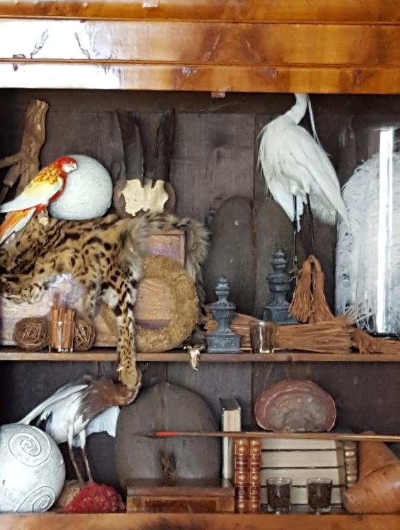 ホテルChalet Sur Lesse メサン エクステリア 写真