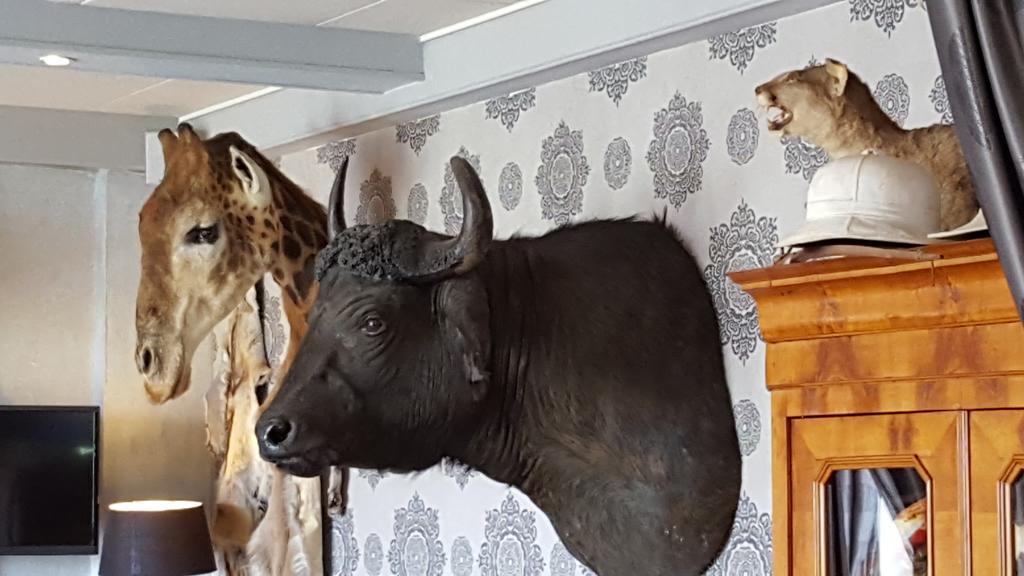 ホテルChalet Sur Lesse メサン エクステリア 写真